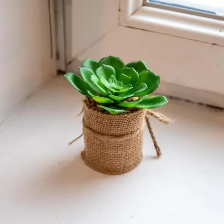 Le Petit élégant, Parking Facile, Gare, Wifi Appartamento *