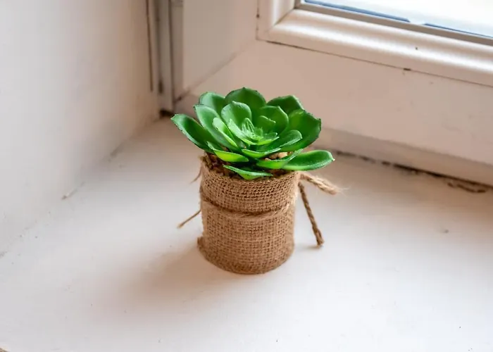 Le Petit Elegant, Parking Facile, Gare, Wifi Apartment *